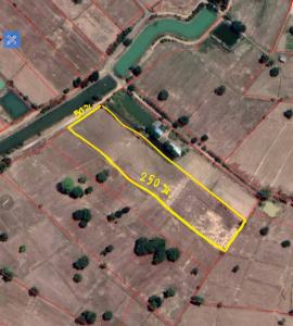 For SaleLandBuri Ram : Land for sale, area 7-1-84 rai, Ban Bu Lao, Sakae Prong Subdistrict, Buriram City, Buriram Province, near the community beautiful rectangular land