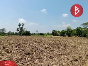 For SaleLandKorat Nakhon Ratchasima : Urgent sale, vacant land, 9 rai 2 ngan 76 square wah, Dan Khun Thot, Nakhon Ratchasima, cheap price.