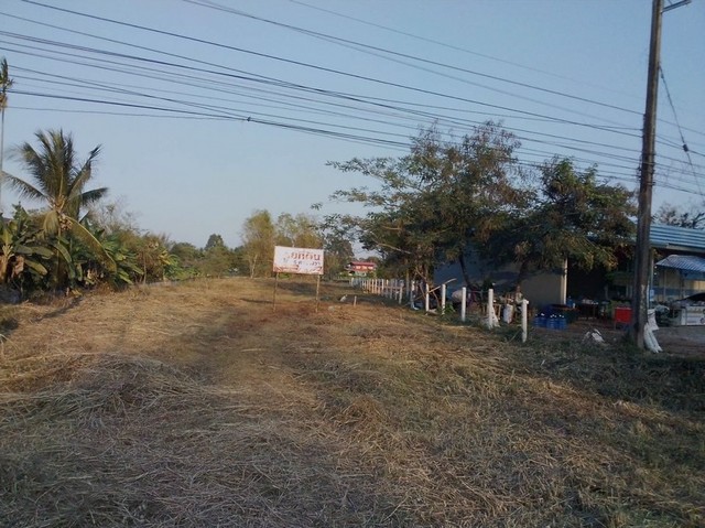 ขายที่ดินนครพนม : ที่ดินเมืองนครพนม ใกล้สะพานไทยลาวแห่งที่3 เพียง900 เมตร แหล่งชุมชน เหมาะทำธุระกิจ