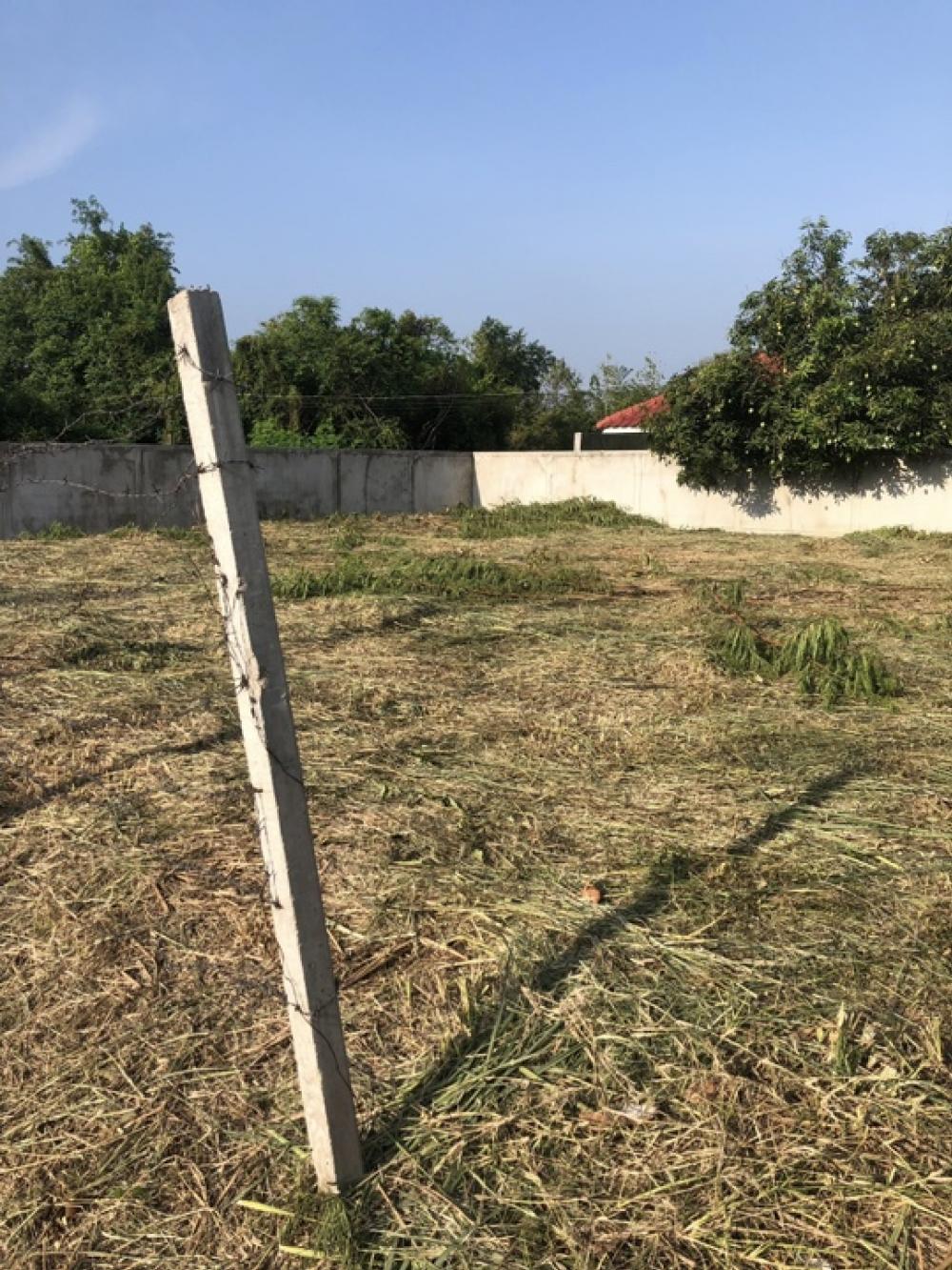 For SaleLandChiang Mai : Land for sale, area 85 square meters, near the Don Kaeo pass, Don Kaeo Subdistrict, Mae Rim District, Chiang Mai Province. 13 kilometers from the city of Chiang Mai, already filled with concrete fences on 3 sides, ready to build a house. Opposite to the A