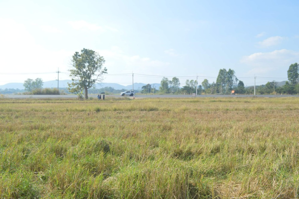For SaleLandPhayao : Land for sale in Phayao (Northern of Thailand): 8 Rai (3 acres) ## Sale by owner ##