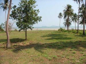 For SaleLandChumphon : ✨ The land has been filled and filled with land. With the construction of a detached house next to the sea with a private beach. adjacent to the Gulf of Thailand Chumphon Province✨Large plan size 2 rai 1 ngan 25 square wa (more than 900 square wa)