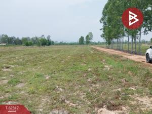 For SaleLandSaraburi : Land at Na Viharn Daeng, Saraburi Province, 18 rai 3 ngan 7 square wah.
