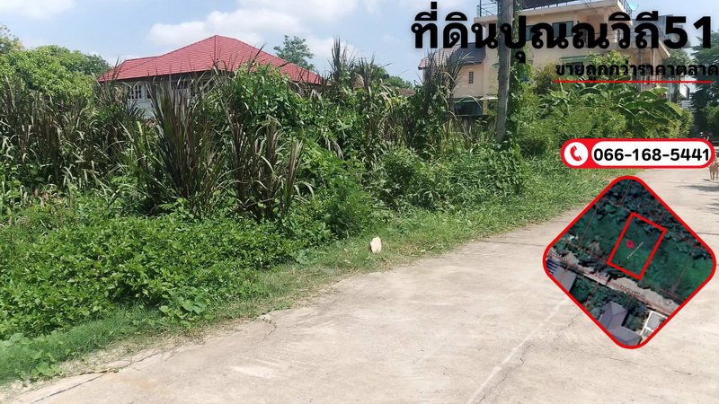 ขายที่ดินสุขุมวิท อโศก ทองหล่อ : ขายที่ดินราคาถูก ซอยปุณณวืถี51 ถนนสุขุมวิท101 เนื้อที่ 56 ตรว.