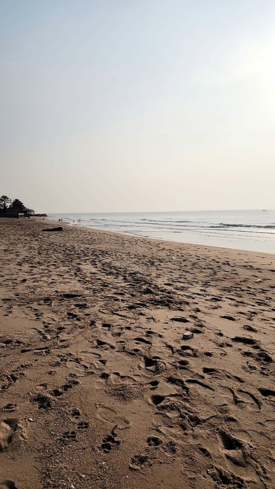 For SaleLandHuahin, Prachuap Khiri Khan, Pran Buri : Beach front Land For Sale at Chaam