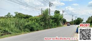 ขายที่ดินพุทธมณฑล ศาลายา : ขาย ที่ดิน 2 ไร่ สามพราน จังหวัดนครปฐม