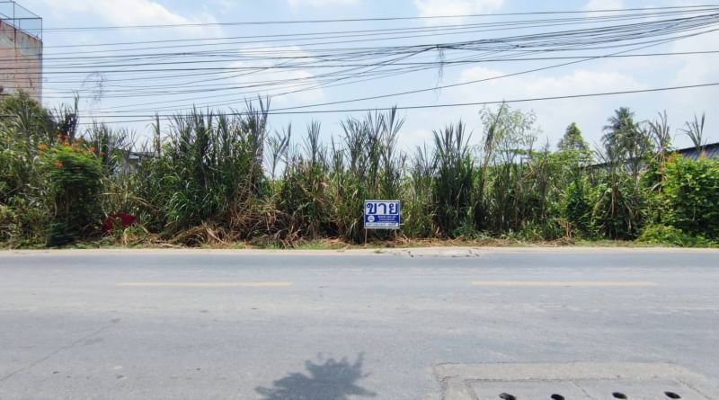 For SaleLandBang kae, Phetkasem : Land for sale, Nong Khaem District, 348 square wah, Soi Petchkasem 77/4, about 35 meters wide, Khang Phlu Subdistrict, Bangkok