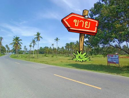 For SaleLandNakhon Si Thammarat : Land for sale near the sea, Tha Sala, Nakhon Si ThammaratLand near the sea, 362 square meters, suitable for doing business or build a residence