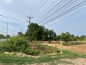 ขายที่ดินมหาสารคาม : ขายที่ดินแปลงสวยติดถนนทางหลวงเส้นพยัคฆภูมิพิสัย จังหวัดมหาสารคาม