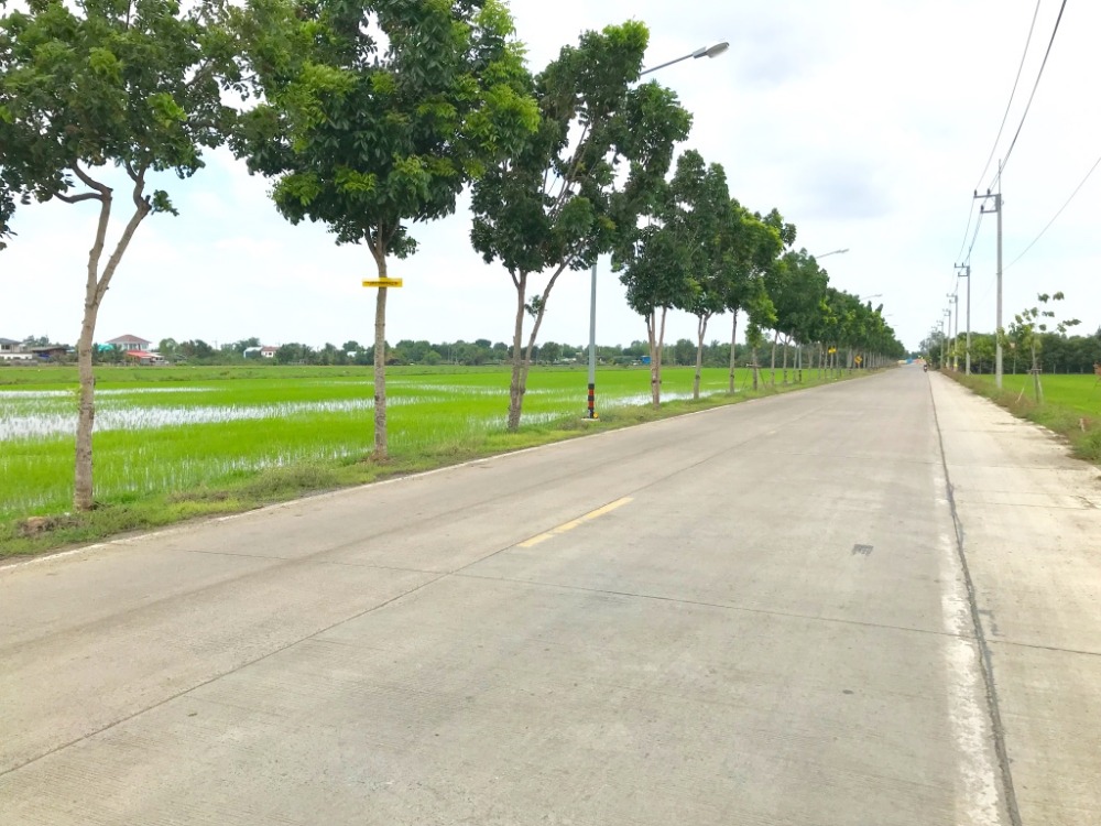 For SaleLandPathum Thani,Rangsit, Thammasat : Land in front of a concrete road, distance 1 km., land area 50 rai 67 square wa, in the area of ​​Lam Luk Ka Khlong 6, a beautiful plot, accessible from many routes