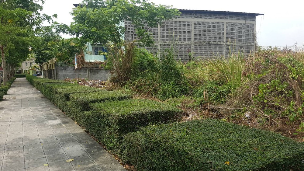 For SaleLandPattanakan, Srinakarin : Land for sale, 8 rai, next to Krungthep Kreetha 49 Road, near Prawet Land Office Near the way to Kanchanaphisek Ring Road