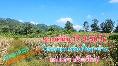 For SaleLandChiang Mai : Land for sale, hillside, beautiful view, near Chiang Mai-Pai highway, 17 rai 2 ngan 50 sq m, Mae Taeng District, Chiang Mai.