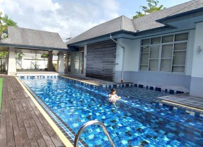 ขายบ้านภูเก็ต : ขาย บ้านเดี่ยว พลูวิลล่าซอยทรงคุณ 1000 ตรม. 250 ตร.วา