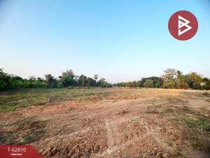 ขายที่ดินพิษณุโลก : ขายที่ดินมะขามสูง พิษณุโลก ทำเลทอง