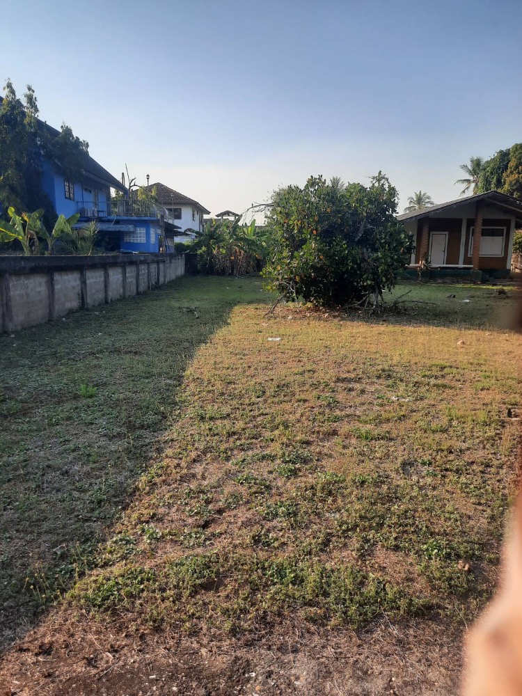 ขายที่ดินลำปาง : ขายที่ดินติดถนนพระเจ้าทันใจซอย2 ใกล้โรงเรียนอนุบาลลำปาง 800 เมตร