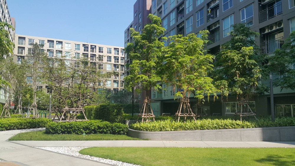 ขายคอนโดบางนา แบริ่ง ลาซาล : Lumpini Place Bangna Km3