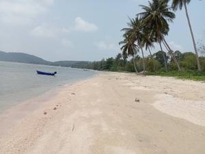 For SaleLandChumphon : Land for sale by the sea, very beautiful location, near the community, convenient to travel ! ! !