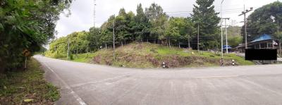 ขายที่ดินสมุย สุราษฎร์ธานี : ขาย ที่ดิน เกาะพะงัน 14 ไร่ 2 งาน 76 ตร.วา ติดถนนท้องศาลา-โฉลกหลำ ด้านบนเห็นวิวทะเล