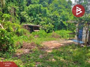 For SaleLandBuri Ram : Land for sale, area 8 rai 2 ngan 6 square wah, Nong Bot, Buriram.