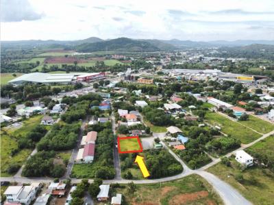 For SaleLandPak Chong KhaoYai : Land for sale in Khao Yai, Pak Chong Subdistrict, Pak Chong District, 179 sq w, the best location in this area