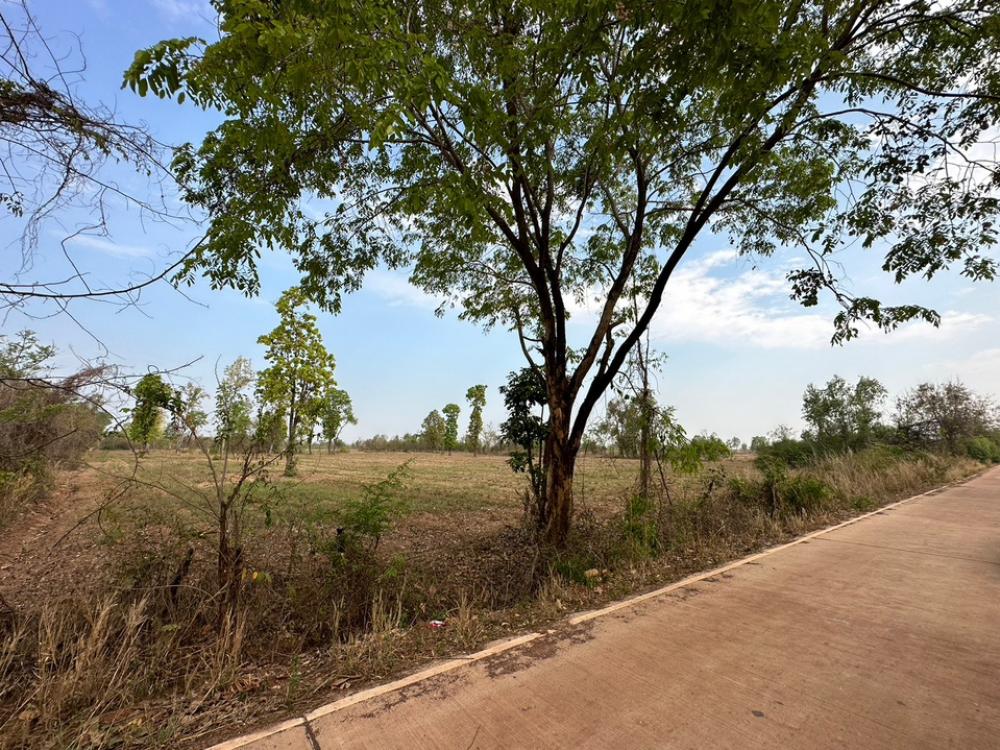 For SaleLandSakon Nakhon : Urgent sale of land, 30 rai 3 ngan 21 square wa. Ready to use, ready to transfer, good price, Mueang Sakon Nakhon District