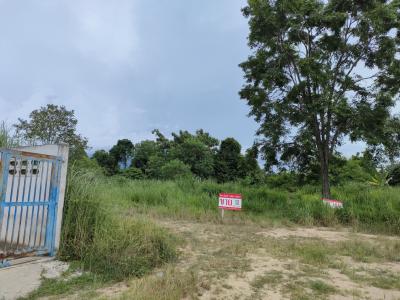 For SaleLandPattaya, Bangsaen, Chonburi : Land for sale, 50 sq.w., near Pong Mapprachan municipal intersection, tight filling, cheap price