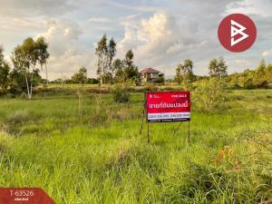 ขายที่ดินพิษณุโลก : ขายที่ดิน โครงการจัดสรรเพื่อที่อยู่อาศัยในเขตชุมชน บรรยากาศดี