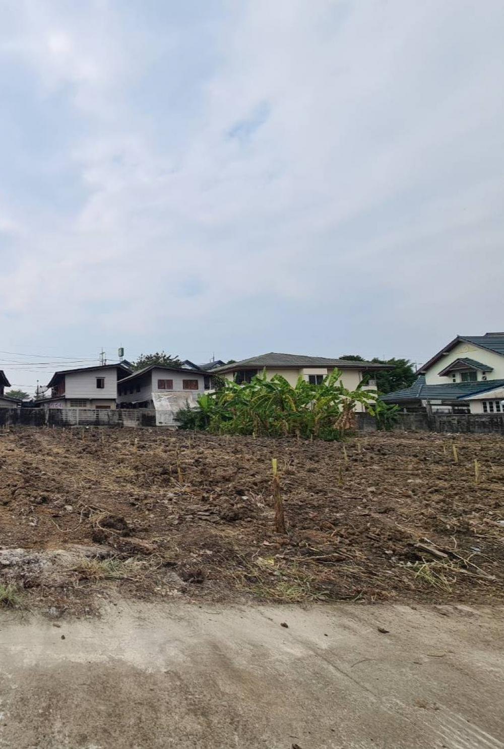 For SaleLandBang kae, Phetkasem : Land for sale, size 150 square wah, Soi Bang Waek 144, near Thotsakan intersection.