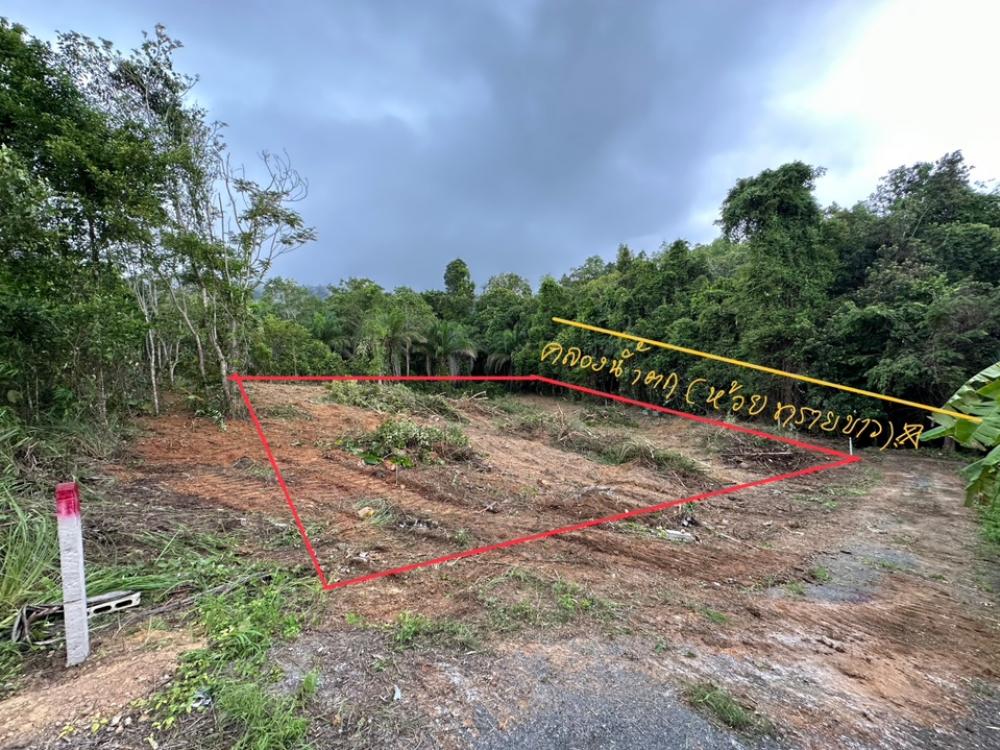 For SaleLandKrabi : Very cheap sale, land next to a canal waterfall, Huay Sai Khao, Krabi province.