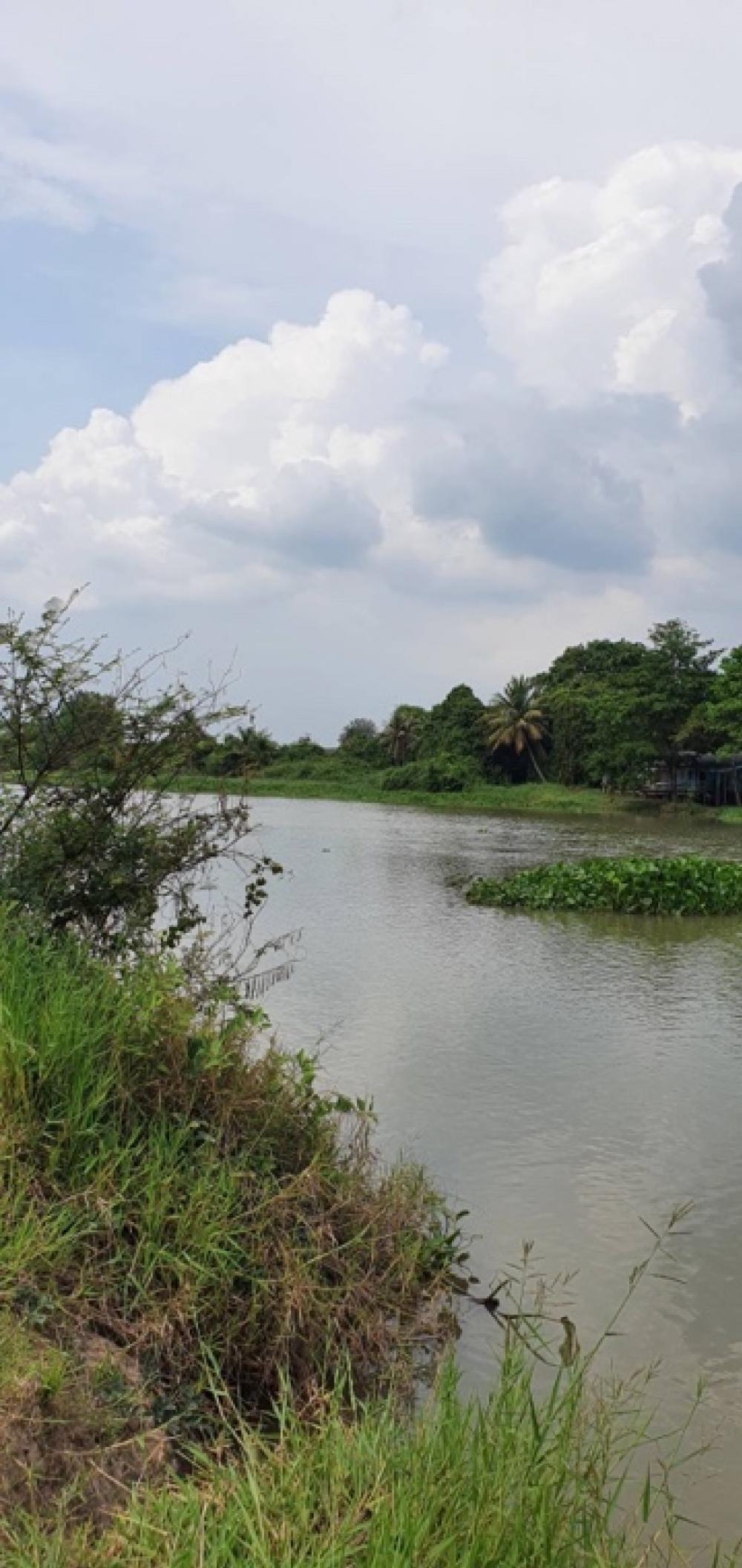 ขายที่ดินปราจีนบุรี : Sale…. 2,800,000 / rai Urgent …..Negotiate …..  Hot Deal Land for sale 8 rai or 3.2 acre Title Deed2,800,000 Baht / Rai Beside BangPaKong River BanSangDistric Prachinburi Province  ด่วนนน คะ  เจ้าของอยาก ขาย มากๆ ร้อนเงิน ขายที่ดิน โฉนด 8ไร่ ๆ 2,800,000 บ