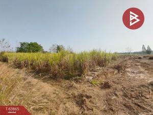 For SaleLandNong Bua Lam Phu : Sale of sugarcane farm land, area 15 rai 3 ngan 73.0 square wah, Sriboonrueang, Nong Bua Lam Phu