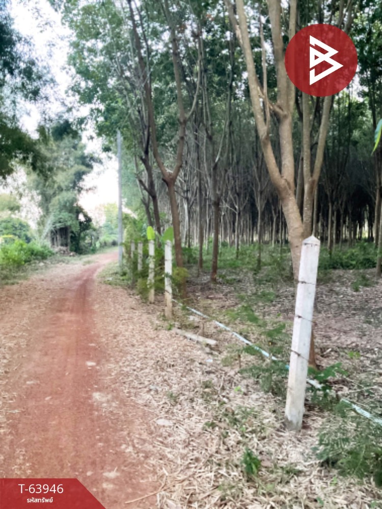 ขายที่ดินศรีสะเกษ : ขายด่วนที่ดิน เนื้อที่ 5 ไร่ 1 งาน 74.3 ตารางวา กันทรลักษ์ ศรีสะเกษ