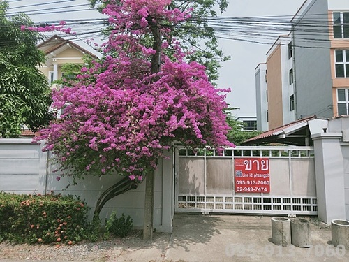 ขายที่ดินเกษตร นวมินทร์ ลาดปลาเค้า : ขายที่ดินเปล่า 119 ตรว.ประเสริฐมนูกิจ5 จรเข้บัว ลาดพร้าว กรุงเทพ