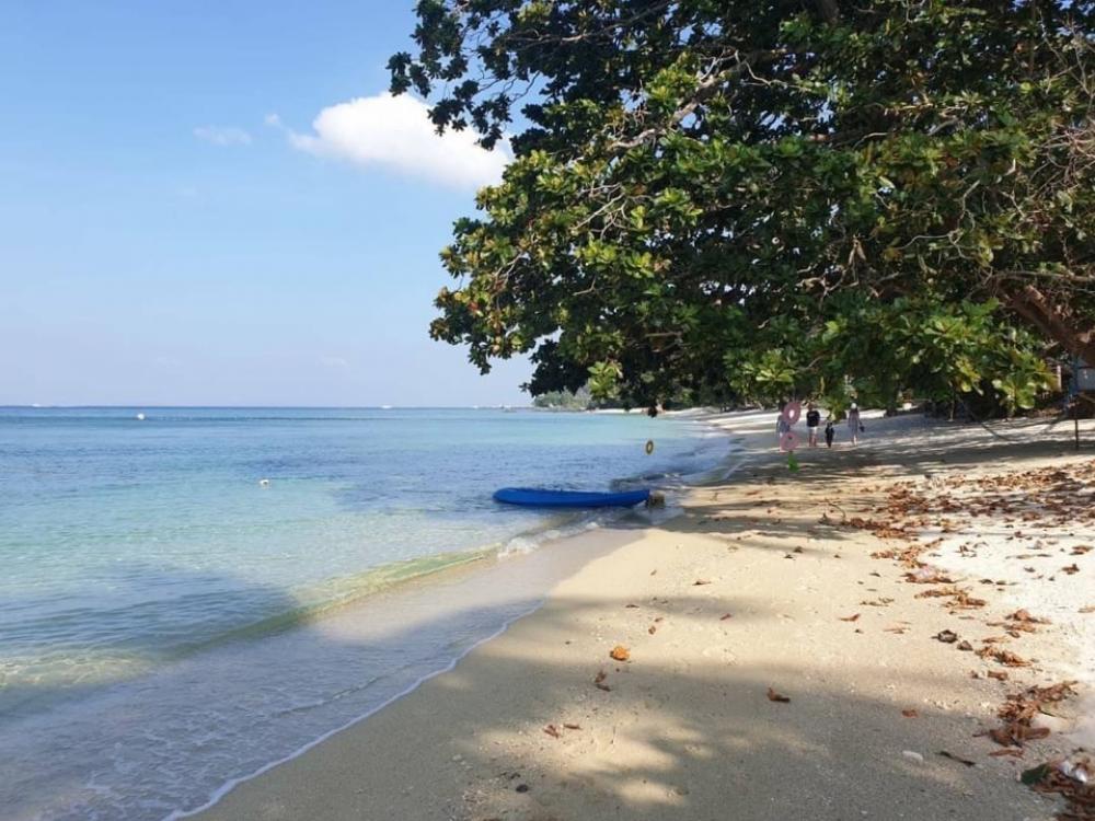 For SaleLandPhangnga : For sale Vacant land in Phang Nga Phru Nai Beach Ko Yao Yai Next to the sea Next to a 5-star Hotel 26-0-14.5 rai 150M