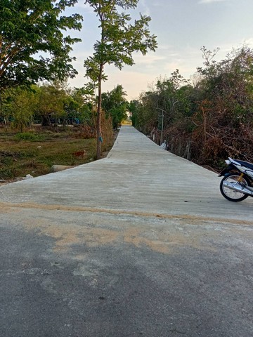 For SaleLandHuahin, Prachuap Khiri Khan, Pran Buri : Land for sale, Mueang Prachuap Khiri Khan, cheap price, divided into 2 rai, with water supply, electricity, complete with neighbors