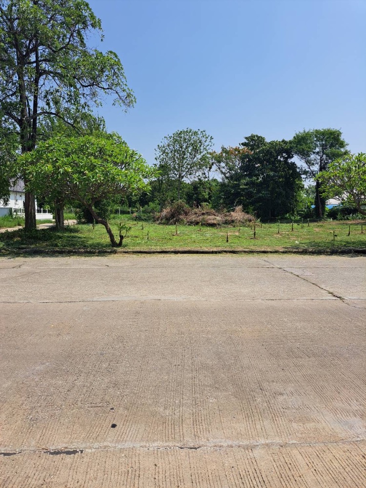 ขายที่ดินเชียงใหม่ : ขายที่ดิน 353 วา เชียงใหม่ หลังกาดฝรั่งวิลล่า หมู่บ้านธารดง ทำเลดีหัวมุม ติดถนน