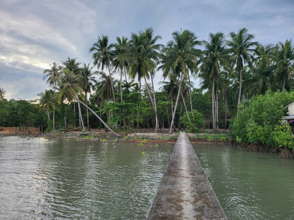 ขายที่ดินตราด : ขายที่ดิน เกาะช้าง ที่สวยเหมาะสร้างรีสอร์ต