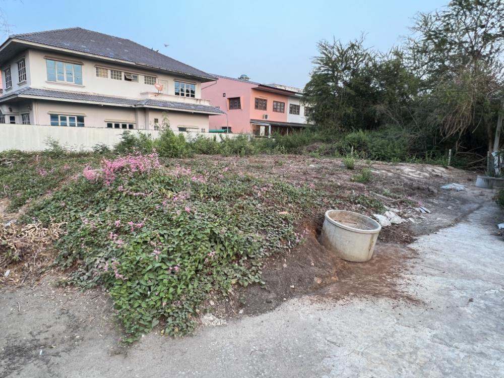 For SaleLandCha-am Phetchaburi : Land for sale in Phetchaburi Province.