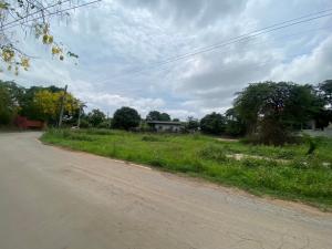 For SaleLandPak Chong KhaoYai : Beautiful plot of land for sale, Khanong Phra Subdistrict, Pak Chong District, Nakhon Ratchasima Province