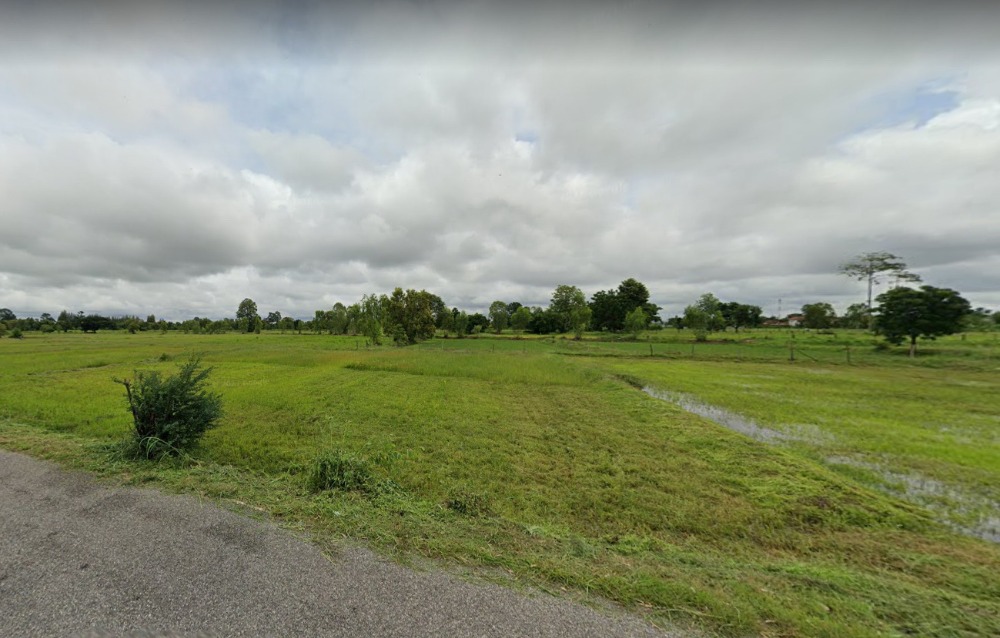 ขายที่ดินร้อยเอ็ด : ขายที่ดิน อำเภอเมืองร้อยเอ็ด ขนาดที่ดิน 64 ไร่ อยู่หลังโรบินสันร้อยเอ็ด หน้าติดถนนซอย 306 เมตร ราคาขายไร่ละ 2.5 ล้านบาท รวม 159.4 ล้านบาท