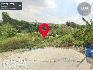 For SaleLandBangna, Bearing, Lasalle : Land for Sale in Lasalle52, 55 sq.w. #Srinakarin