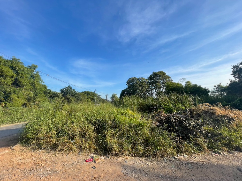 For SaleLandMin Buri, Romklao : Empty Land Sampaothong Village / 218 Square Wah (For Sale), Land Sampaothong Village / 872 Square Meter (FOR SALE) COF158