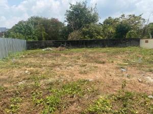 For SaleLandKaset Nawamin,Ladplakao : LL13 Land for sale, Soi Lat Pla Khao 62 #Land in the village of Suk Natee Villa # Land reclamation #Land on Lat Pla Khao Road