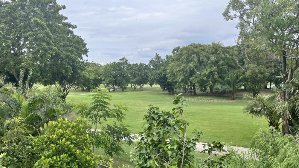 For SaleLandBangna, Bearing, Lasalle : Golf view behind land in Lakewood Country Club, near Suvarnabhumi airport 427 sq wa only 26,000 baht per sq wa. Contact Anny 0891229530.