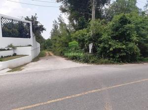 For SaleLandHatyai Songkhla : Land for sale in Kuan Lang, Hat Yai, Songkhla, area 51.80 sq m, beautiful plot, good location, next to Palm Springs Village 11