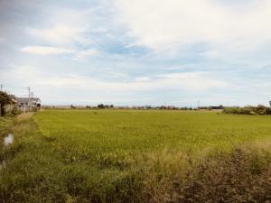 For SaleLandBangna, Bearing, Lasalle : Land for sale, beautiful plot, good location, near ABAC-Bangna, 558.4 sq.w., orange area, front of the road 40 meters, depth 60 meters.