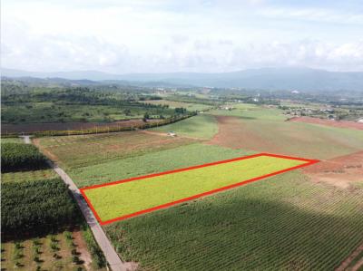 For SaleLandPak Chong KhaoYai : Land for sale in Khao Yai, Pong Ta Long Subdistrict, Pak Chong District, 18 Rai, just seeing the view makes me happy.