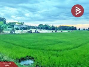 ขายที่ดินพิษณุโลก : ขายที่ดิน เนื้อที่ 1 ไร่ 3 งาน 23 ตารางวา ปากโทก พิษณุโลก