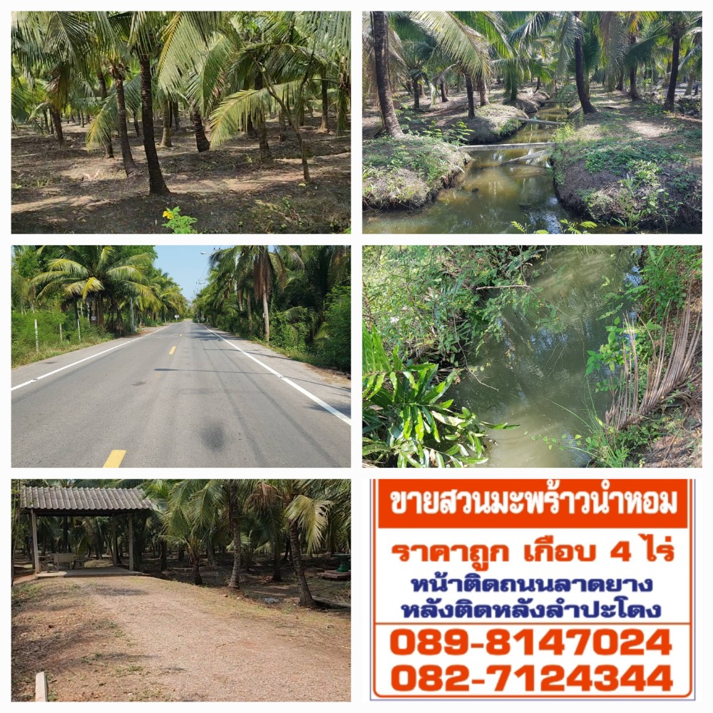 ขายที่ดินสมุทรสงคราม : 🏝️ขายถูกมากที่ดินสวนมะพร้าว💥หน้าติดถนนหลังติดลำปะโดง​💥