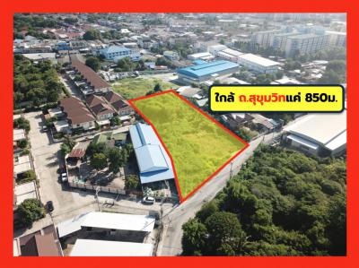 For SaleLandPattaya, Bangsaen, Chonburi : Land for sale, Soi Phet Ban Suan 8, Mueang Chonburi District, size 784 sqw., near Sukhumvit Road, only 850 m. CC.